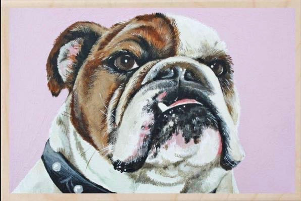 English bulldog wooden postcard