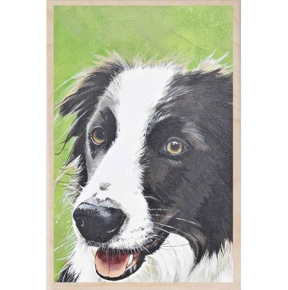 Border Collie Wooden Postcard - The Wooden Postcard Company