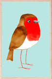 Robin Wooden Postcard - The Wooden Postcard Company