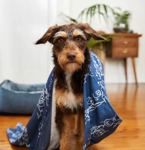 Puppy Party Towel - Dog & Bay - Towels for Pets