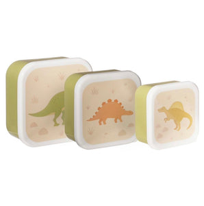 Desert Dino Lunch Boxes x 3 - Sass & Belle