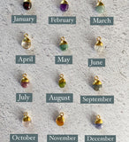 January (Garnet) Birthstone Tumbled Necklace