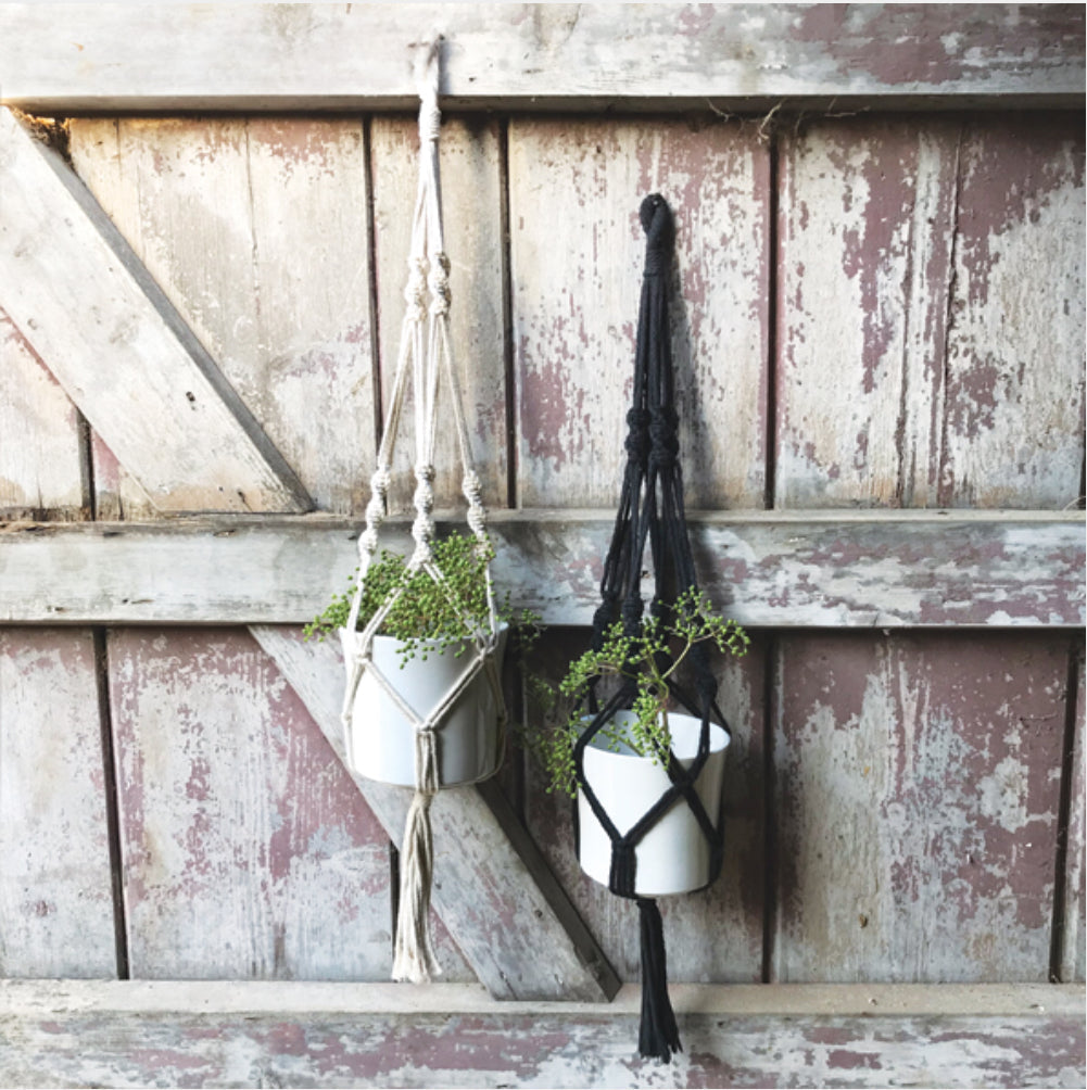 Macrame Black Holder With Pot - East Of India