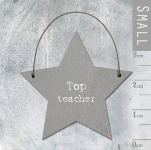 Top Teacher Little Star Sign - East Of India