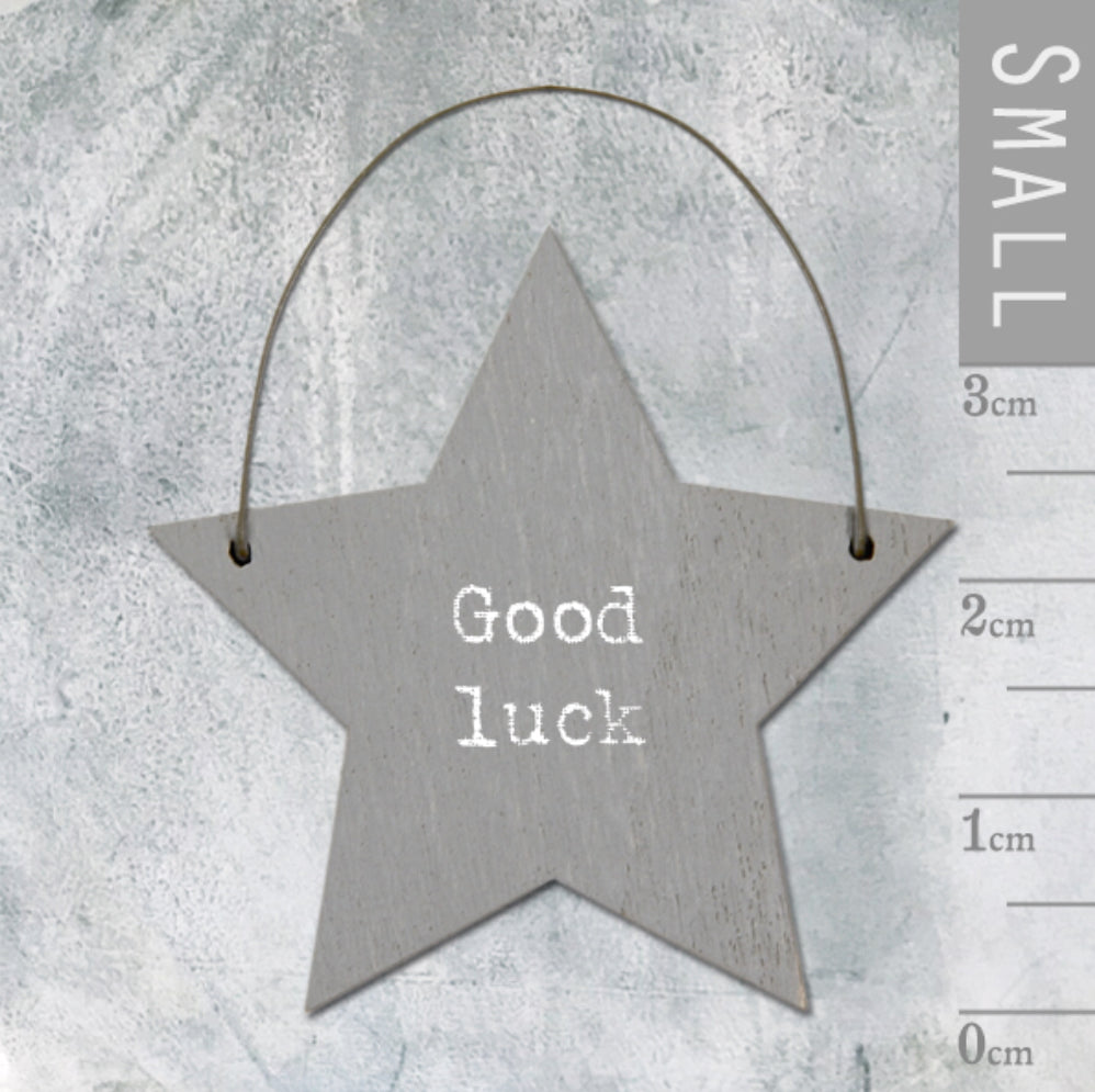 Good Luck Mini Star Sign - East of India